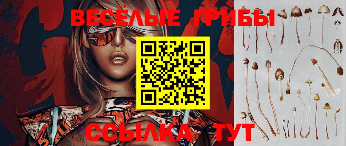 Знаменск  Галлюциногенные грибы Cubensis  Вход с VPN  Псилоцибиновые грибы Psilocybe 