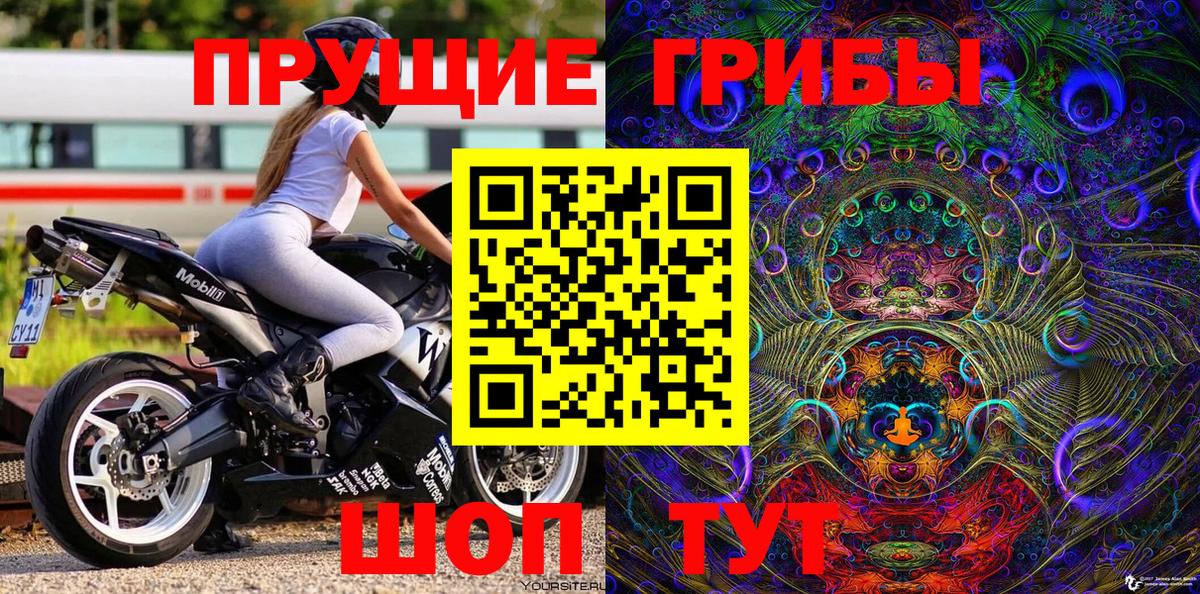 Псилоцибиновые грибы мухоморы Знаменск